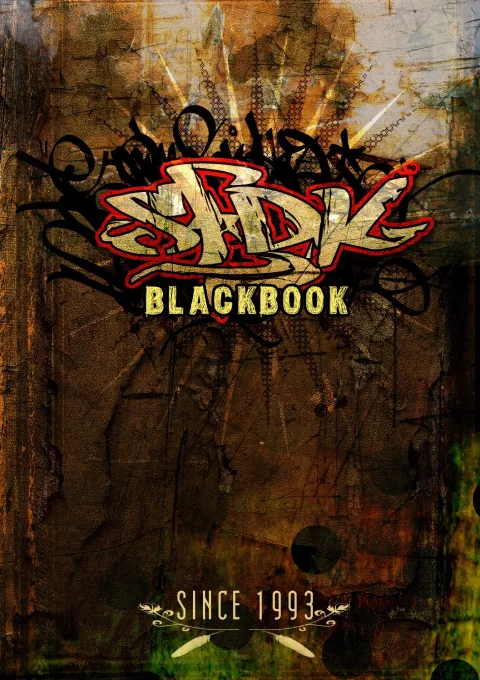 Black Book (DVD)