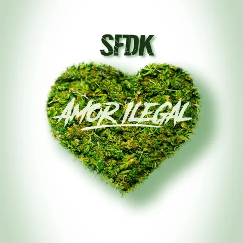 Amor Ilegal (single)